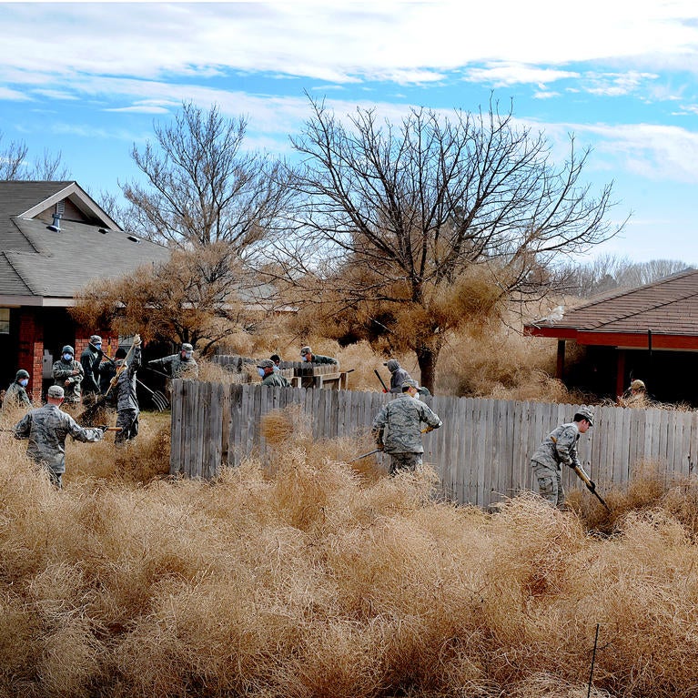 tumbleweed invasion in Clovis, New Mexico